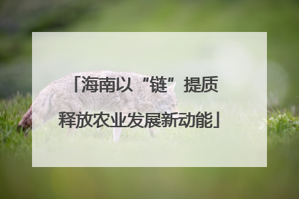 海南以“链”提质 释放农业发展新动能