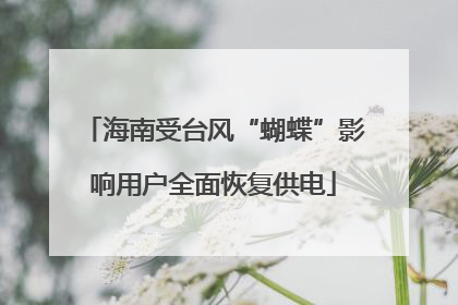 海南受台风“蝴蝶”影响用户全面恢复供电