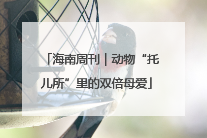 海南周刊｜动物“托儿所”里的双倍母爱