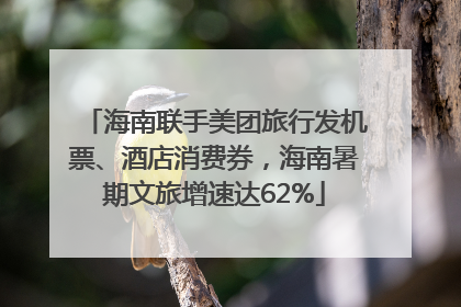 海南联手美团旅行发机票、酒店消费券，海南暑期文旅增速达62%