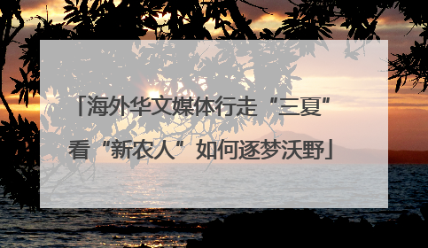 海外华文媒体行走“三夏” 看“新农人”如何逐梦沃野