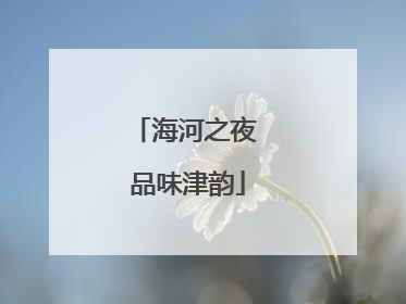 海河之夜 品味津韵