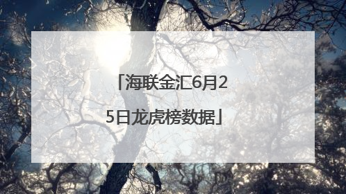 海联金汇6月25日龙虎榜数据