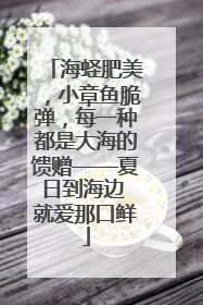 海蛏肥美，小章鱼脆弹，每一种都是大海的馈赠——夏日到海边 就爱那口鲜
