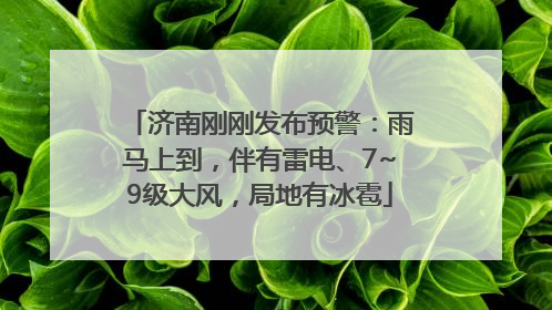 济南刚刚发布预警：雨马上到，伴有雷电、7~9级大风，局地有冰雹