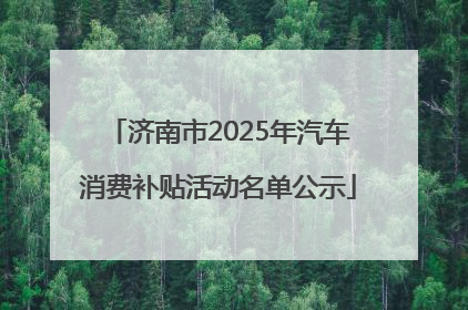 济南市2025年汽车消费补贴活动名单公示