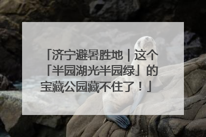 济宁避暑胜地｜这个「半园湖光半园绿」的宝藏公园藏不住了！