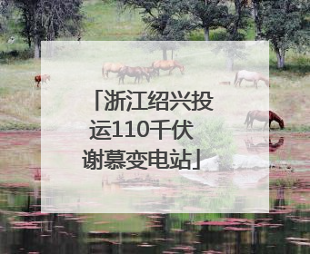 浙江绍兴投运110千伏谢慕变电站