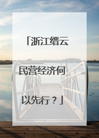 浙江缙云民营经济何以先行？