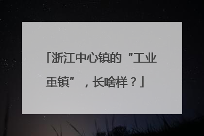 浙江中心镇的“工业重镇”，长啥样？