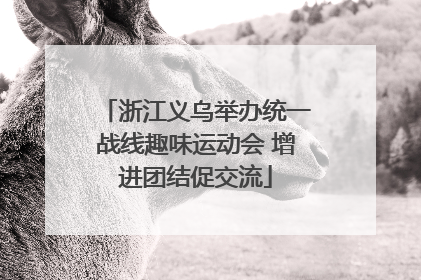 浙江义乌举办统一战线趣味运动会 增进团结促交流