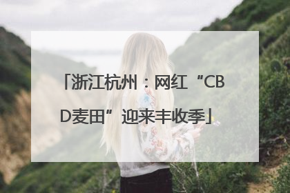 浙江杭州：网红“CBD麦田”迎来丰收季
