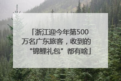 浙江迎今年第500万名广东旅客，收到的“锦鲤礼包”都有啥