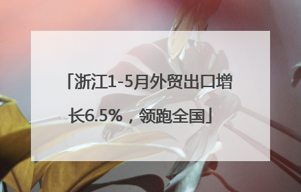 浙江1-5月外贸出口增长6.5%，领跑全国