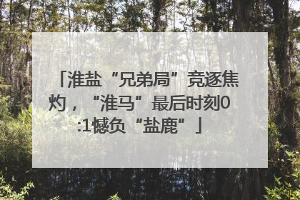 淮盐“兄弟局”竞逐焦灼，“淮马”最后时刻0:1憾负“盐鹿”