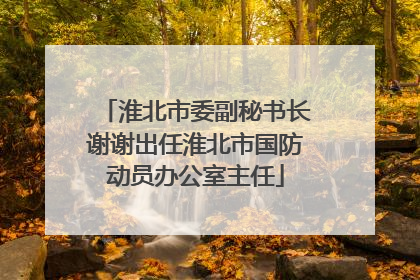 淮北市委副秘书长谢谢出任淮北市国防动员办公室主任