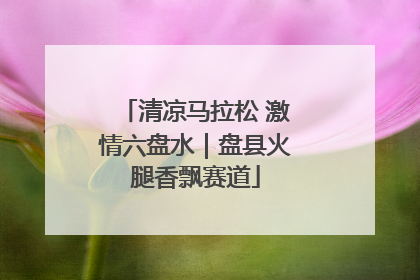 清凉马拉松 激情六盘水｜盘县火腿香飘赛道