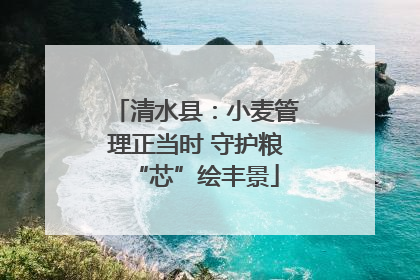 清水县：小麦管理正当时 守护粮“芯”绘丰景