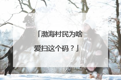 渤海村民为啥爱扫这个码？