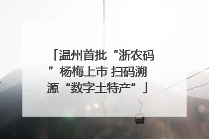 温州首批“浙农码”杨梅上市 扫码溯源“数字土特产”