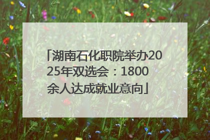 湖南石化职院举办2025年双选会：1800余人达成就业意向