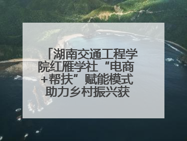 湖南交通工程学院红雁学社“电商+帮扶”赋能模式 助力乡村振兴获帮扶乡镇好评