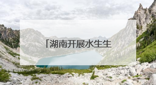湖南开展水生生物增殖放流活动