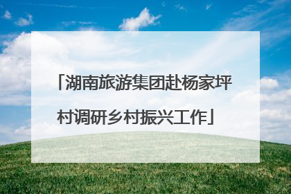 湖南旅游集团赴杨家坪村调研乡村振兴工作