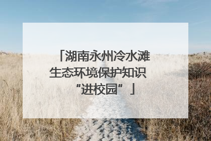 湖南永州冷水滩生态环境保护知识“进校园”