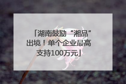 湖南鼓励“湘品”出境！单个企业最高支持100万元