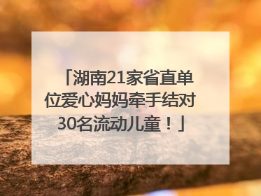 湖南21家省直单位爱心妈妈牵手结对30名流动儿童！
