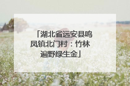 湖北省远安县鸣凤镇北门村：竹林遍野绿生金