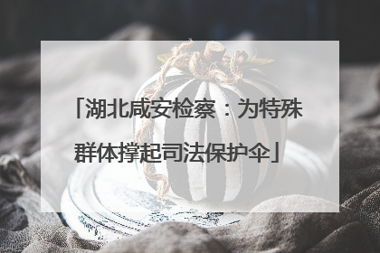 湖北咸安检察：为特殊群体撑起司法保护伞