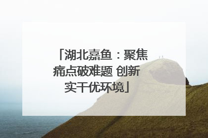 湖北嘉鱼：聚焦痛点破难题 创新实干优环境