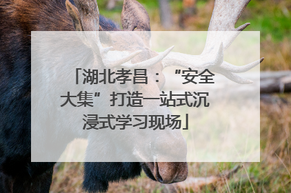 湖北孝昌：“安全大集”打造一站式沉浸式学习现场