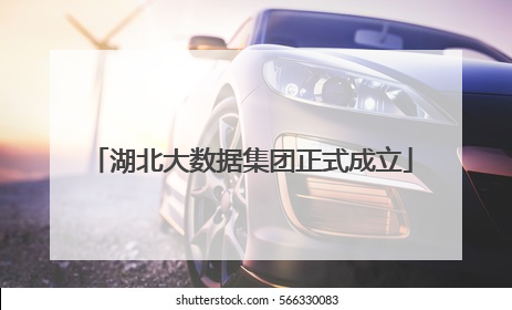 湖北大数据集团正式成立
