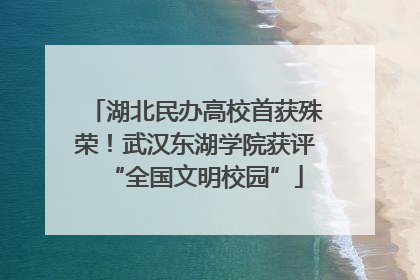 湖北民办高校首获殊荣！武汉东湖学院获评“全国文明校园”