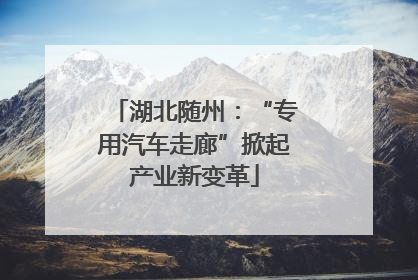湖北随州：“专用汽车走廊”掀起产业新变革