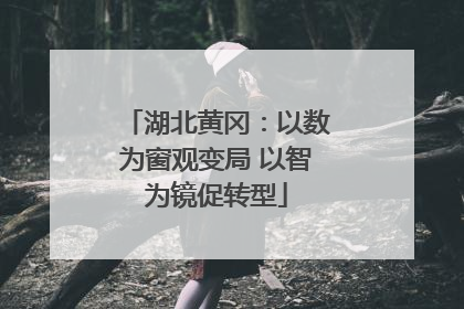 湖北黄冈：以数为窗观变局 以智为镜促转型