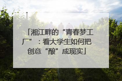 湘江畔的“青春梦工厂”：看大学生如何把创意“酿”成现实