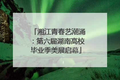 湘江青春艺潮涌：第六届湖南高校毕业季美展启幕