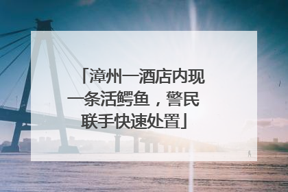 漳州一酒店内现一条活鳄鱼，警民联手快速处置