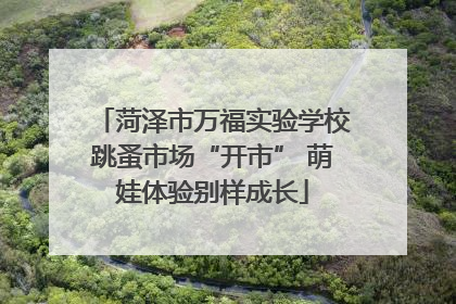 菏泽市万福实验学校跳蚤市场“开市” 萌娃体验别样成长