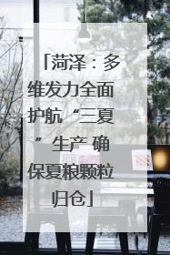 菏泽：多维发力全面护航“三夏”生产 确保夏粮颗粒归仓