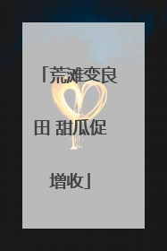 荒滩变良田 甜瓜促增收
