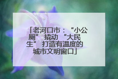 老河口市：“小公厕” 撬动 “大民生” 打造有温度的城市文明窗口