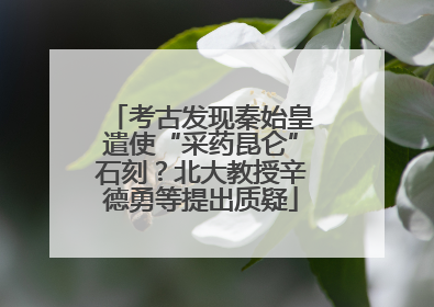 考古发现秦始皇遣使“采药昆仑”石刻？北大教授辛德勇等提出质疑