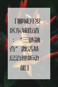 聊城开发区东城街道：“三链融合”激活基层治理新动能