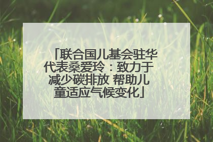 联合国儿基会驻华代表桑爱玲：致力于减少碳排放 帮助儿童适应气候变化
