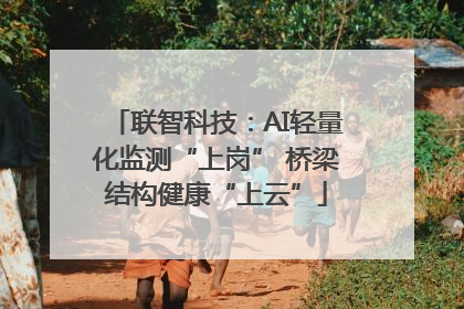 联智科技：AI轻量化监测“上岗” 桥梁结构健康“上云”